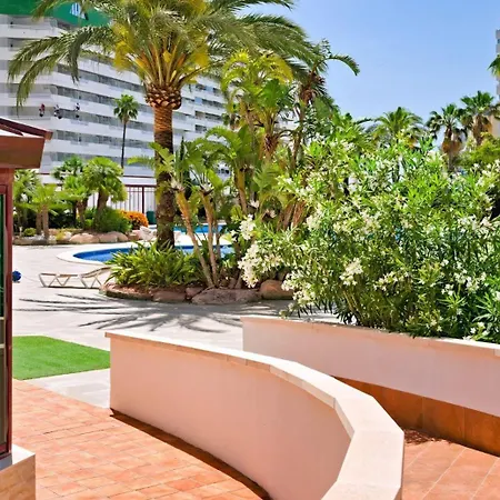 Coralbeach 318b - Grupo Turis Calp